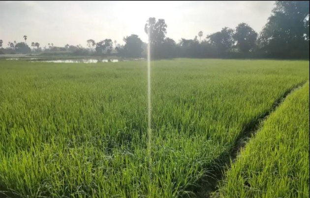 An image of land