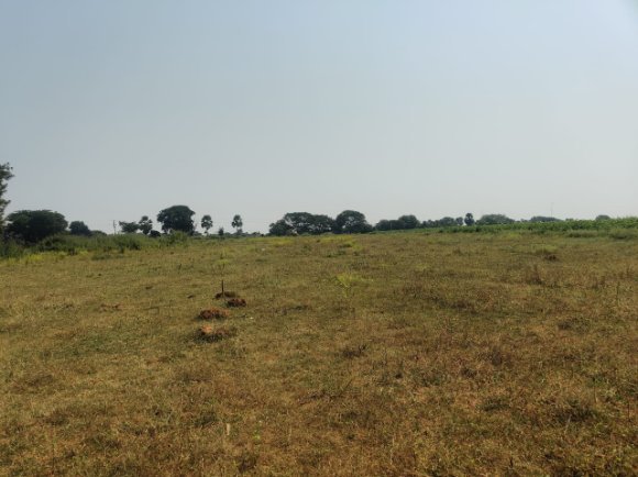 An image of land