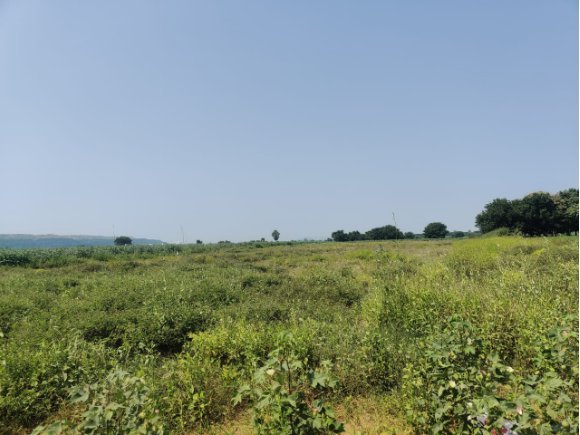 An image of land