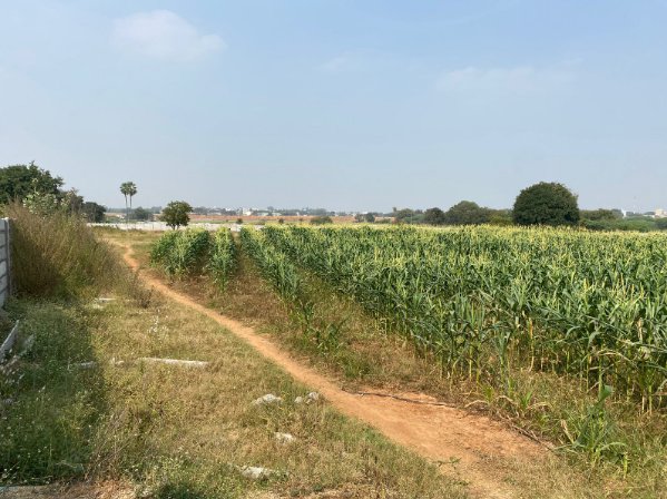 An image of land