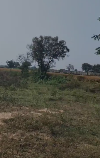 An image of land
