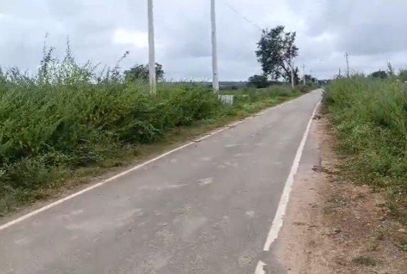 An image of land