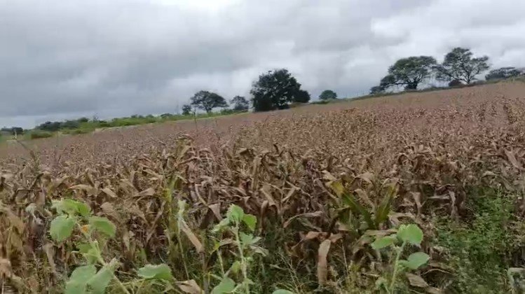 An image of land