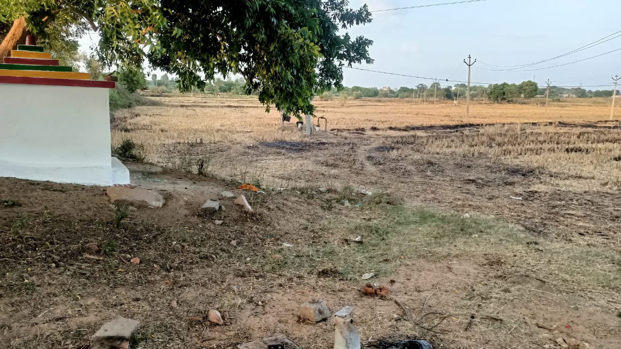 An image of land