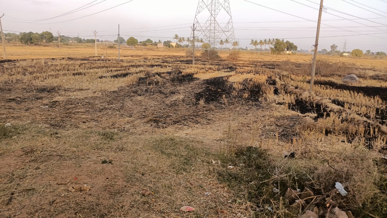 An image of land