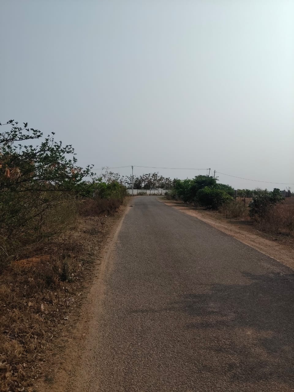 An image of land