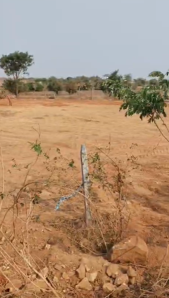 An image of land