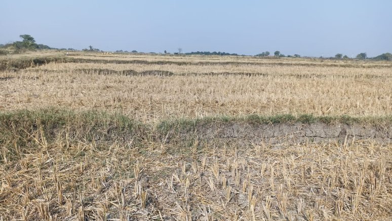 An image of land