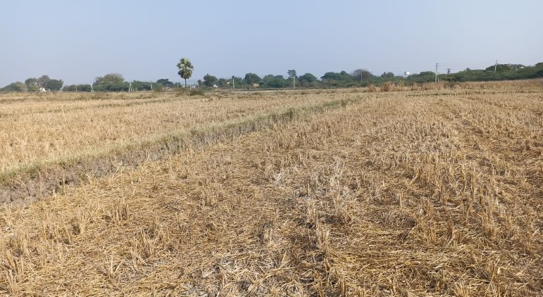 An image of land