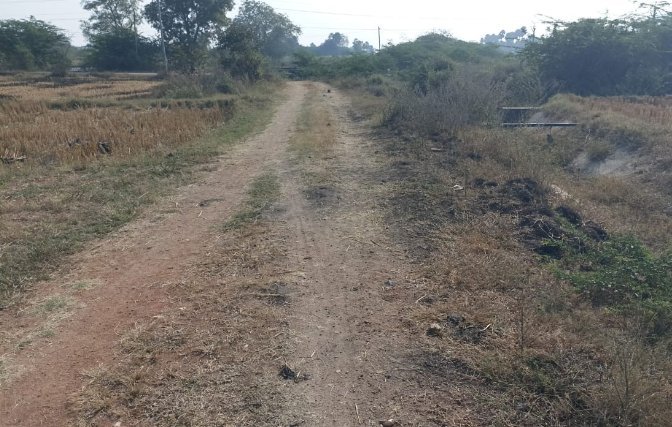 An image of land
