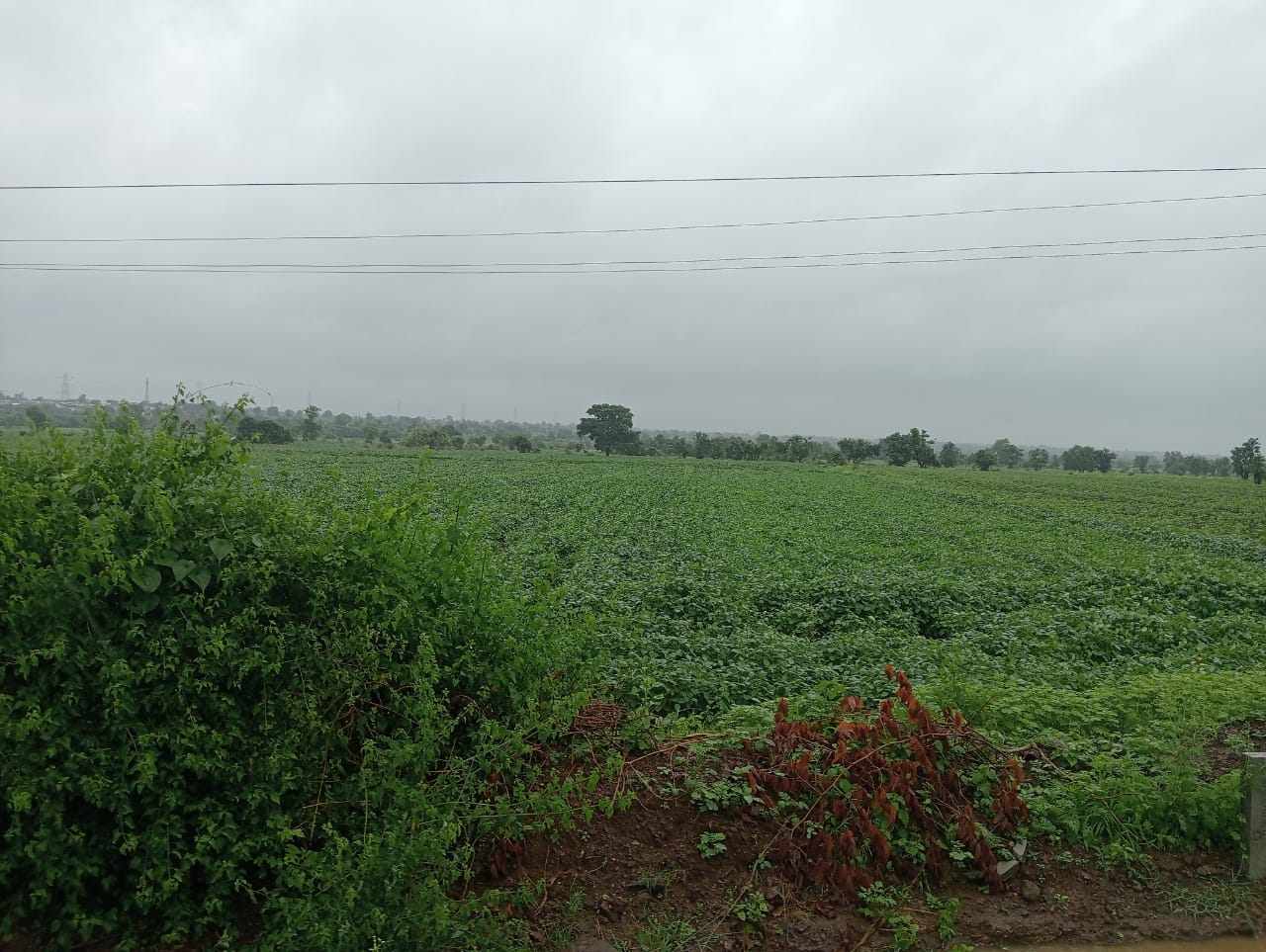 An image of land