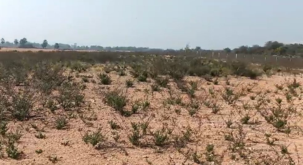 An image of land