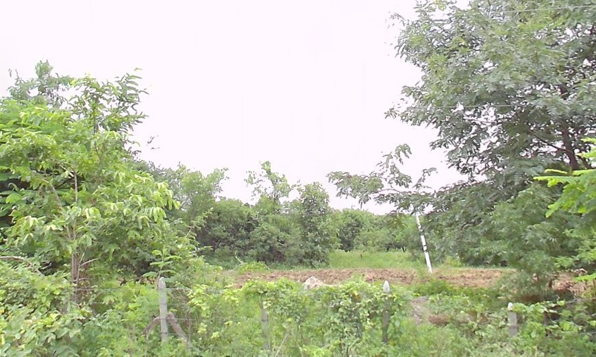 An image of land