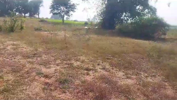 An image of land