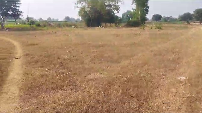 An image of land