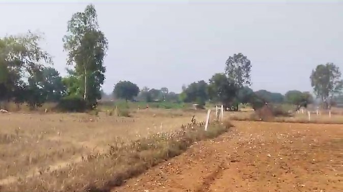 An image of land