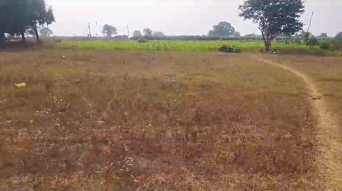 An image of land