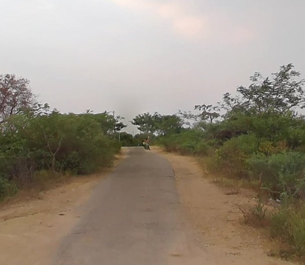 An image of land
