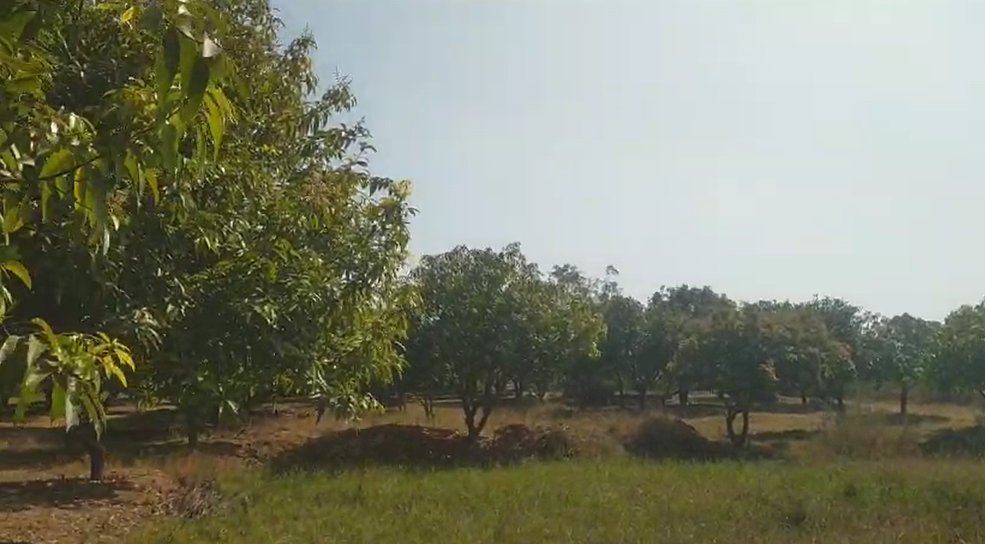 An image of land