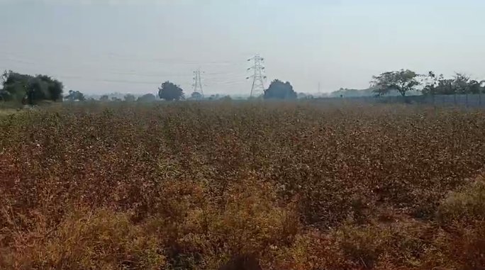 An image of land