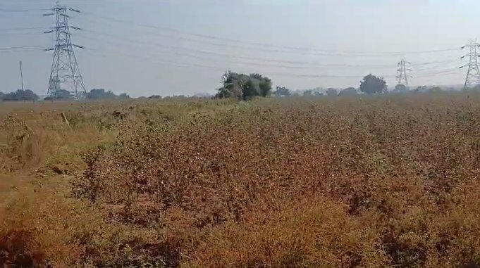 An image of land
