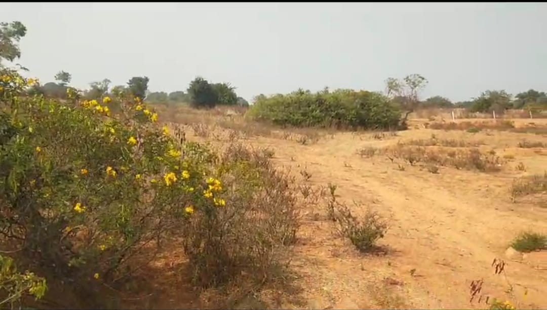 An image of land