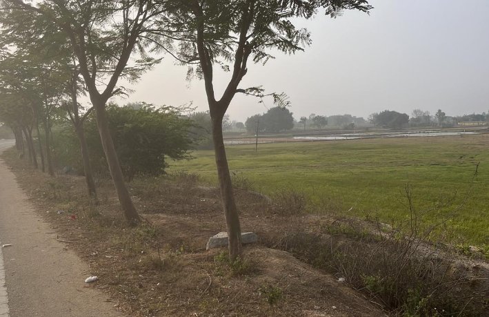 An image of land