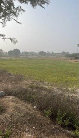An image of land