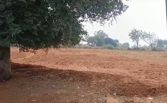 An image of land