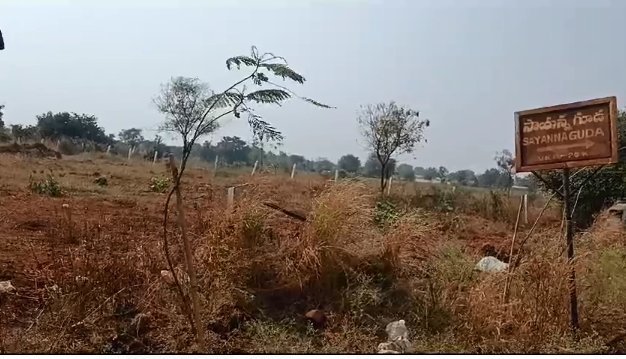 An image of land