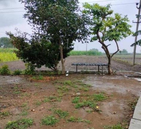 An image of land