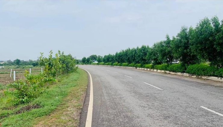 An image of land