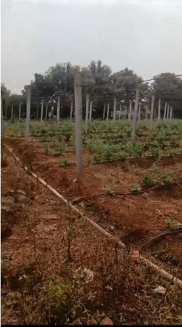 An image of land