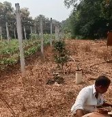 An image of land