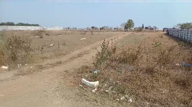 An image of land