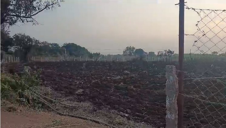 An image of land