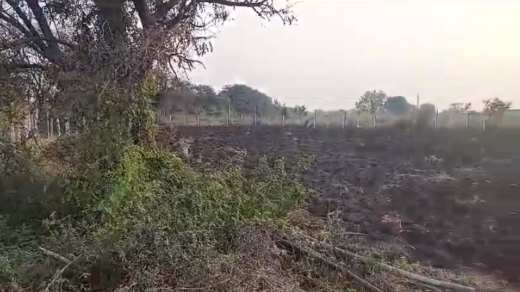 An image of land