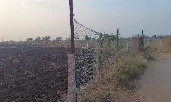 An image of land