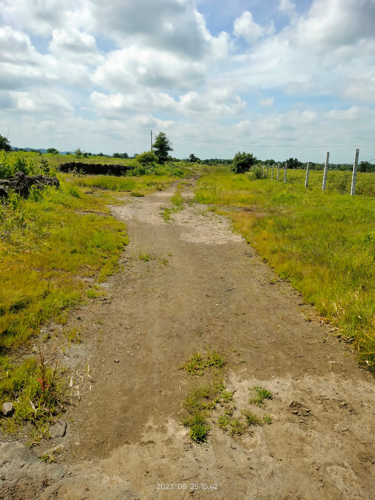 An image of land