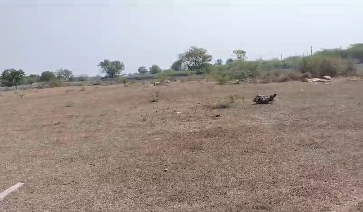 An image of land