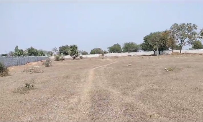 An image of land