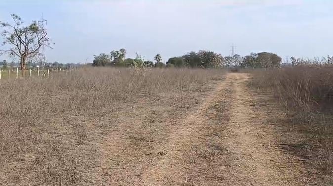 An image of land