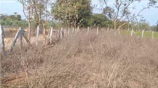 An image of land