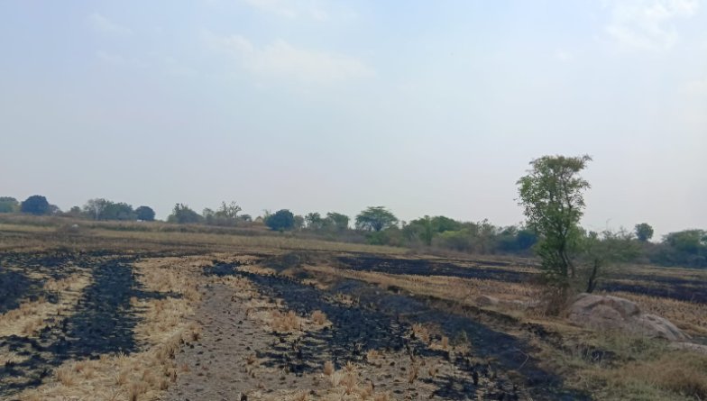 An image of land