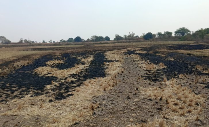 An image of land