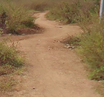 An image of land