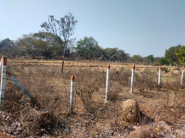 An image of land