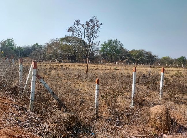 An image of land