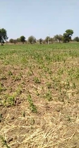 An image of land