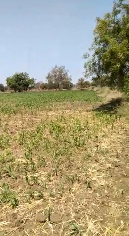 An image of land